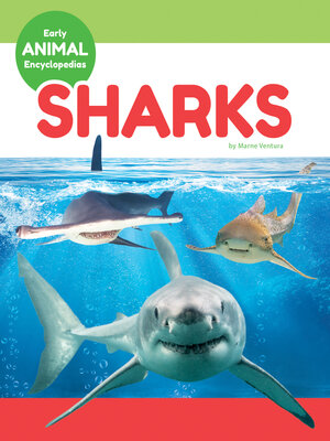 cover image of Sharks